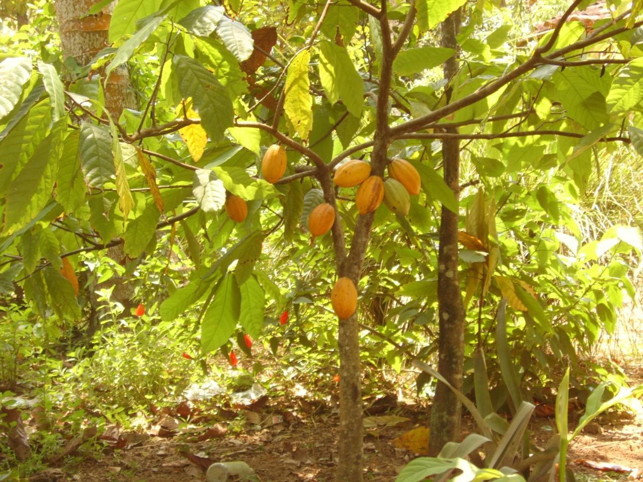 Pousada Lagoa Do Cassange มาเรา ภายนอก รูปภาพ
